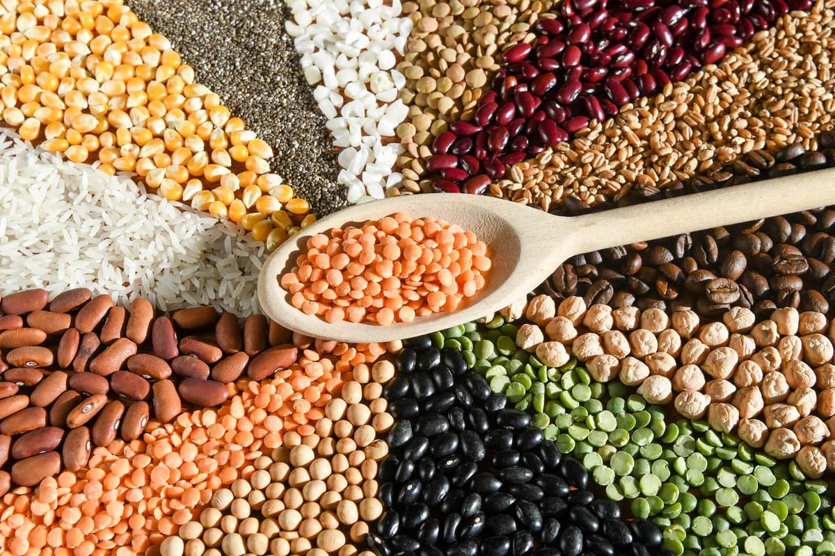 An arrangement of grains and pulses with a wooden sampling spoon.