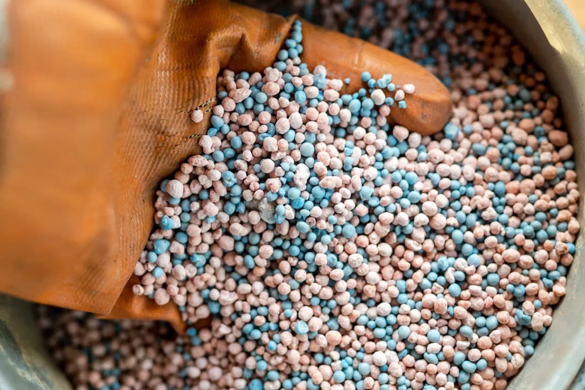 Blended mineral fertilizer granules (NPK) spilling from a sack.